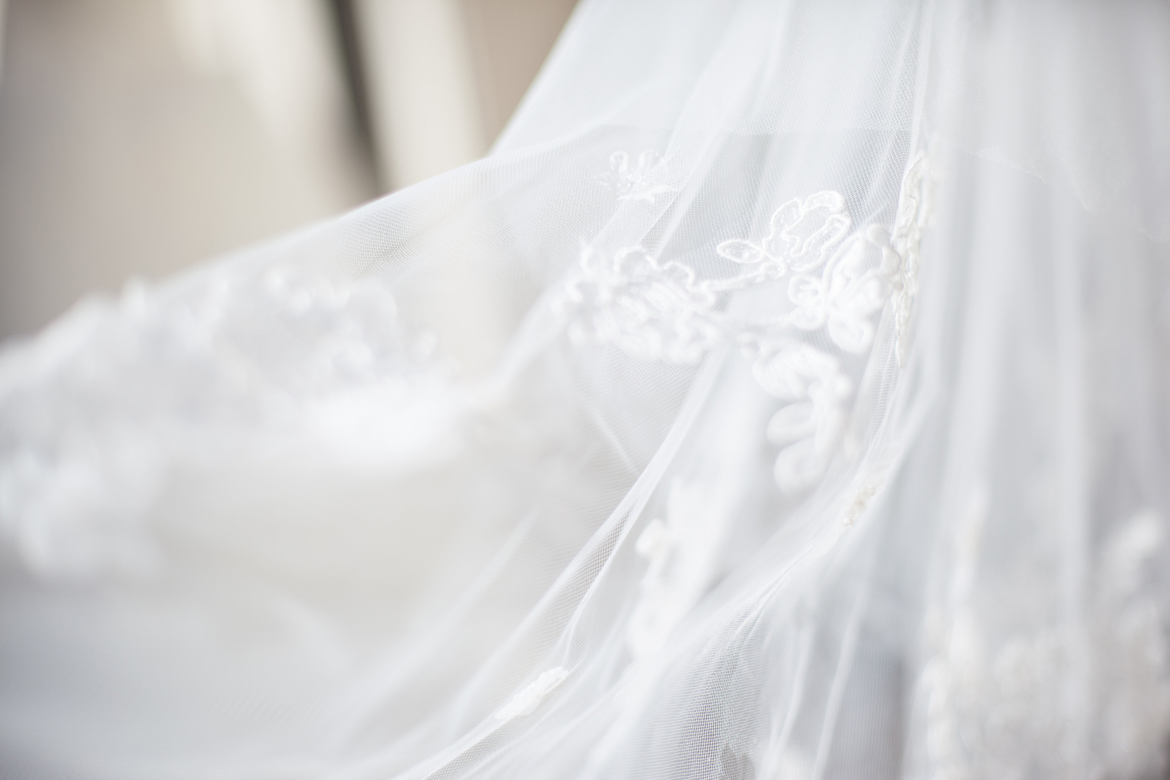 wedding veil with lace