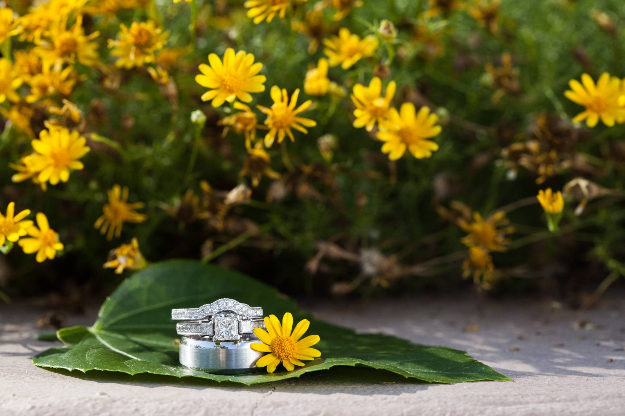 wedding rings and yellow daisies