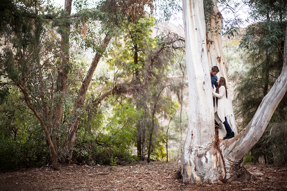 couple climbing tree during engagement session