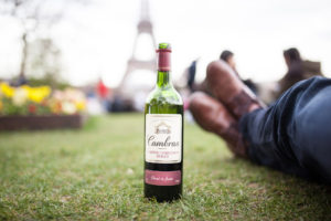 bottle of wine under the Eiffel Tower Paris France