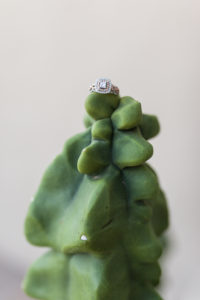 engagement ring on cactus