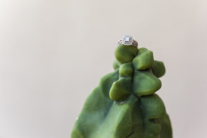 engagement ring on cactus