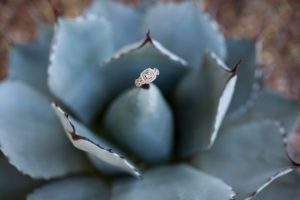 engagement ring on succulent