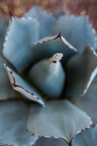engagement ring on succulent