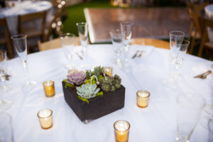 wedding day succulent table centerpieces
