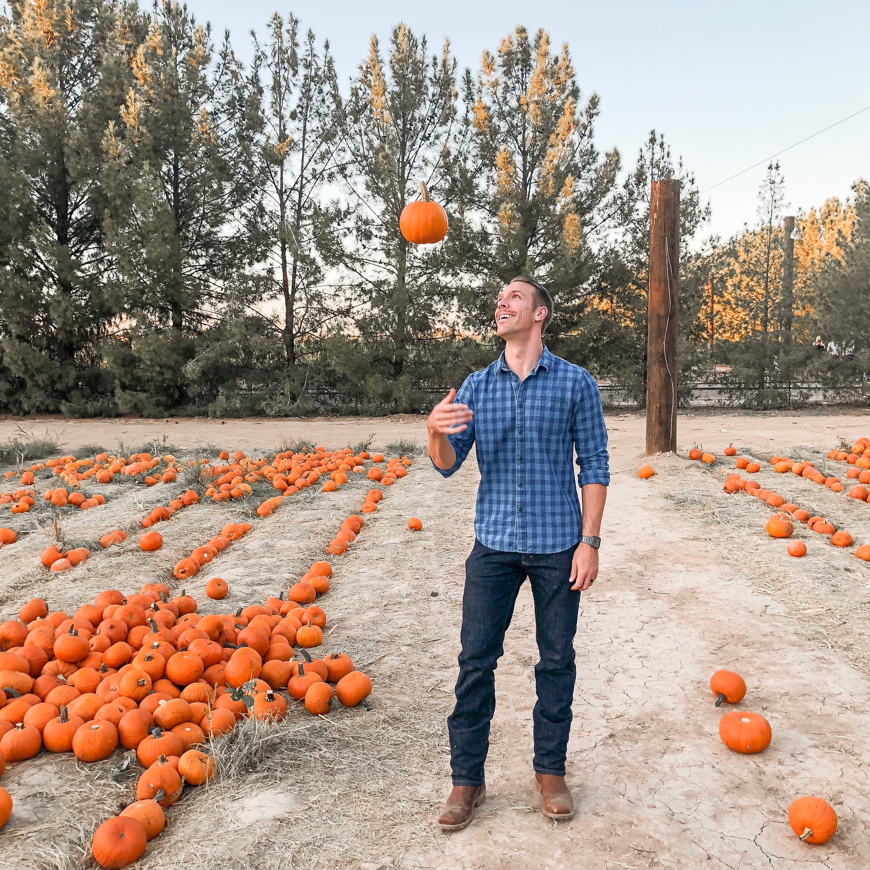 October Date Night Ideas in Phoenix Arizona - Schnepf Farms Pumpkin and Chili Festival